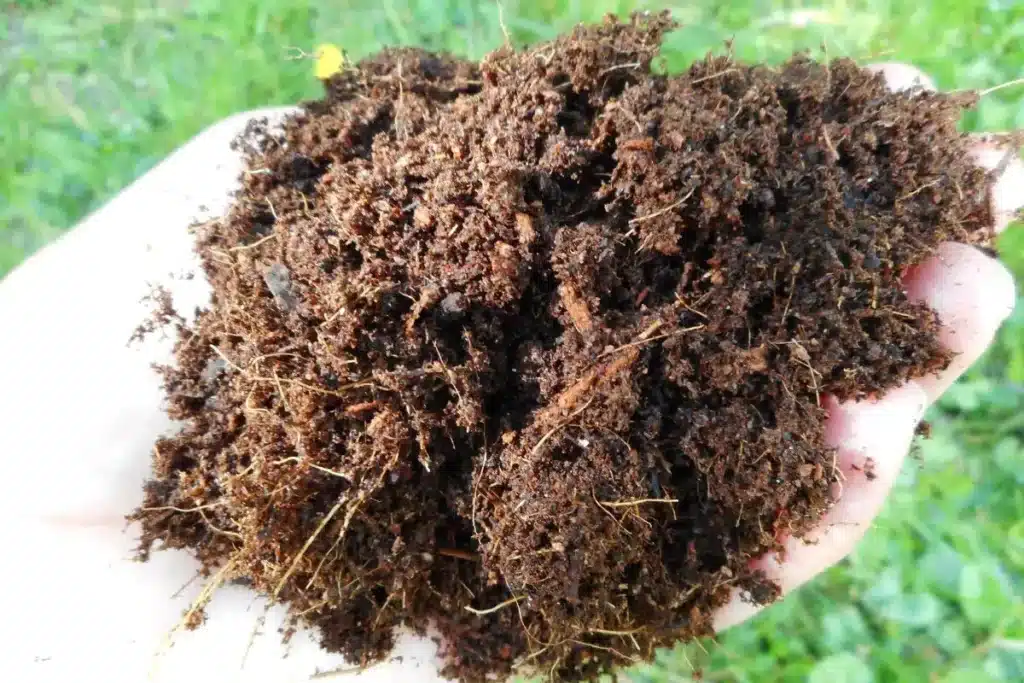 tourbe-coco.jpg