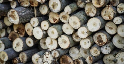 découvrez tout sur la biomasse : une source d'énergie renouvelable issue de la matière organique pour un avenir durable et respectueux de l'environnement.