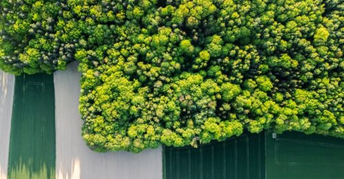 découvrez la réglementation écoconception visant à améliorer la durabilité et l'efficacité énergétique des produits pour un avenir plus écologique.