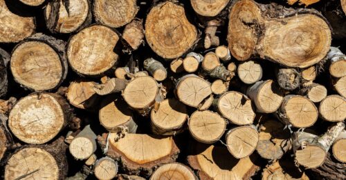 découvrez les avantages du bois de chauffage et des pellets : une source d'énergie écologique, économique et efficace pour chauffer votre maison tout en respectant l'environnement.
