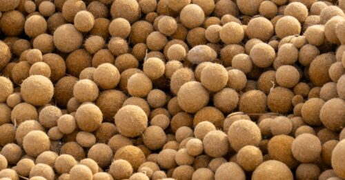 découvrez notre sélection de pellets de qualité pour un chauffage économique et écologique, adapté à tous vos besoins.