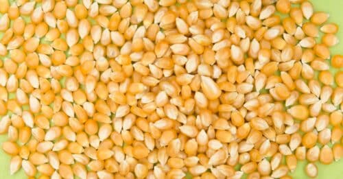 découvrez notre sélection de pellets de haute qualité, idéals pour un chauffage efficace, économique et respectueux de l'environnement.