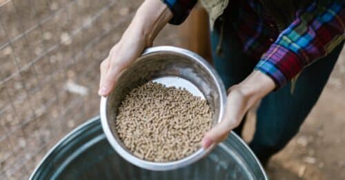 découvrez notre gamme de pellets de haute qualité pour un chauffage écologique, économique et performant. parfaits pour les poêles et chaudières à pellets.
