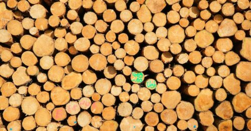 découvrez les prix des granulés de bois en septembre 2025 et suivez les tendances du marché pour bien préparer votre chauffage.