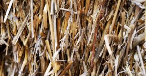 centrale de chauffage à biomasse : une solution écologique et économique pour produire de la chaleur renouvelable à partir de matières organiques.