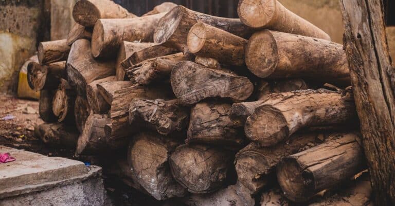 découvrez comment déterminer le poids du bois sec pour vos projets de construction, de chauffage ou d'artisanat. guide complet sur les méthodes et les facteurs influençant le poids du bois sec.