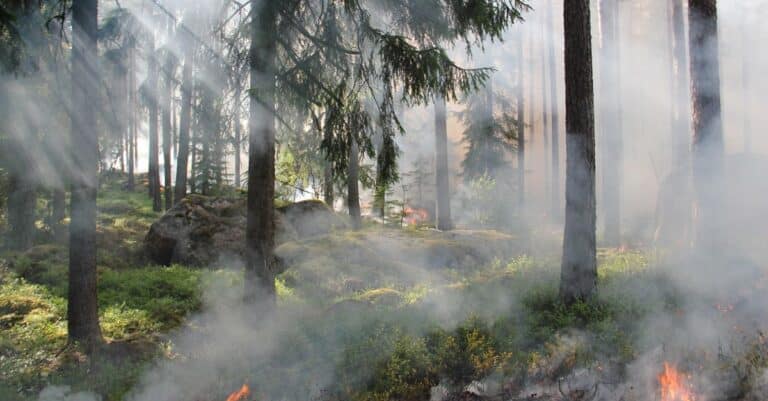 comprendre la propagation du feu : mécanismes, facteurs influençant la vitesse et méthodes de prévention pour limiter les risques d'incendie.